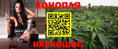 дживик Гай