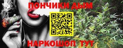 гашик Гатчина