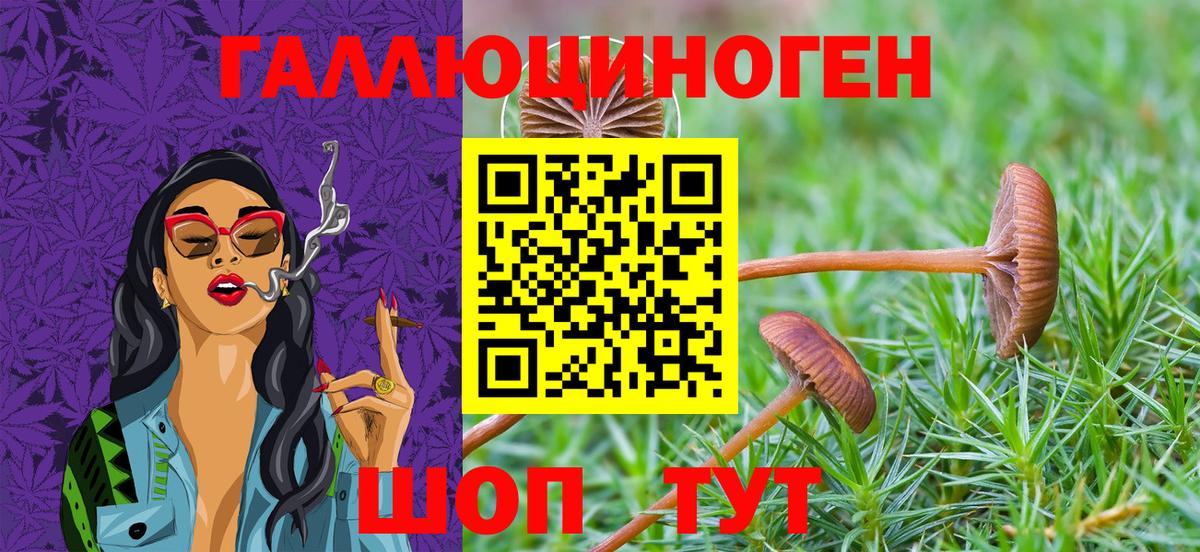 Мурино  Галлюциногенные грибы мухоморы  Галлюциногенные грибы мицелий  Вход с VPN 
